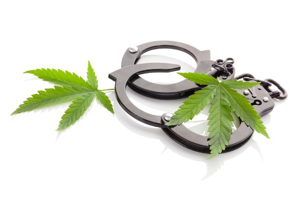 marijuana laws